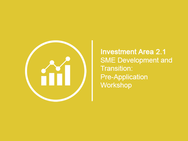 Investment area 2.1 SME Development and Transition Programme